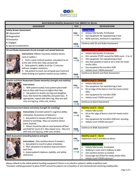 BMAT Adult BMAT Adult Bedside Mobility Assessment Tool BMAT For