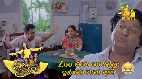 Zoo එකේ ගොරිල්ලා ඉන්නවා වගේ ඇති😂 Sihina Genena Kumariye Youtube