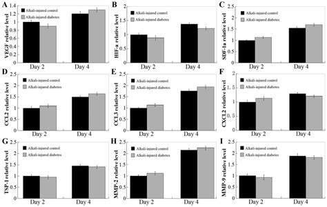 Streptozotocininduced Diabetic Mice Exhibit Reduced Experimental