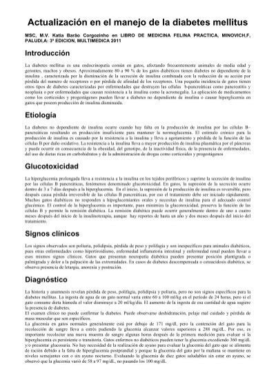 Actualizaci N En El Manejo De La Diabetes Mellitus Pdf 131 Kb