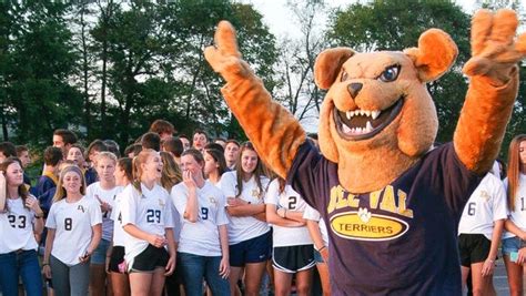 Delaware Valley High School students revive Tuffy the Terrier mascot