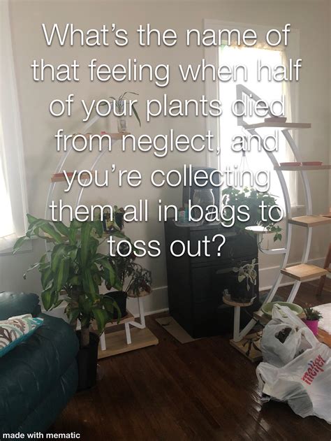 Friends and family are posting on the Kolden funeral obituaries 18