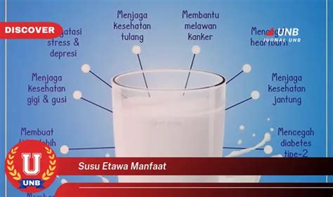 Temukan 6 Manfaat Susu Etawa Yang Bikin Kamu Penasaran