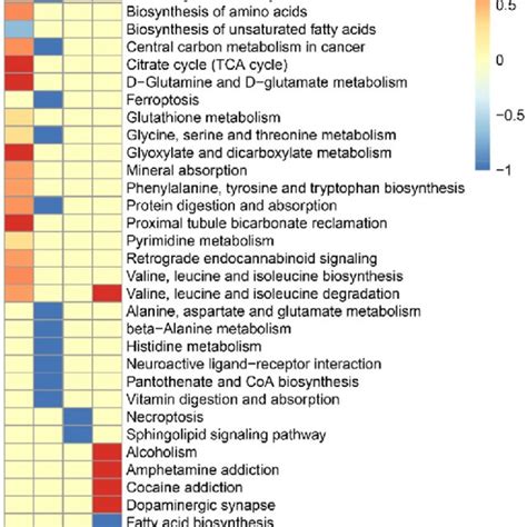 KEGG Pathway Enriched With Differential Metabolites At All Stages I