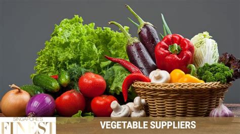 10 Trustworthy Vegetable Suppliers in Singapore [2024]