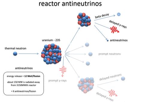 Antineutrino Definition And Characteristics Nuclear