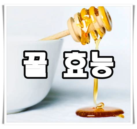 꿀의 효능 7가지