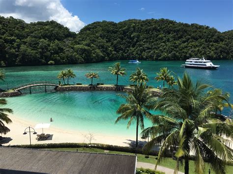 21 Pleasing Facts About Palau Fact City