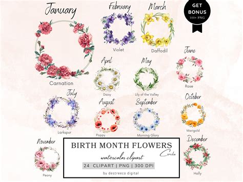 Birth Month Flowers Clipart Flowers Frame Png Spring Floral Clipart