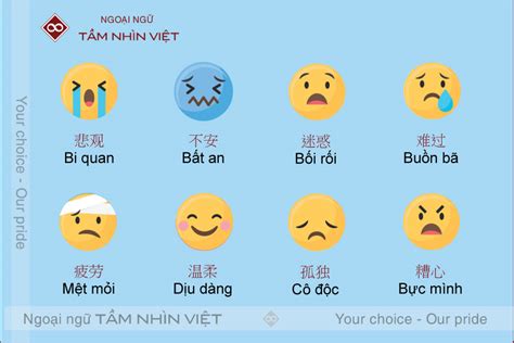 Từ vựng tiếng Trung về cảm xúc Mẫu câu miêu tả tâm trạng