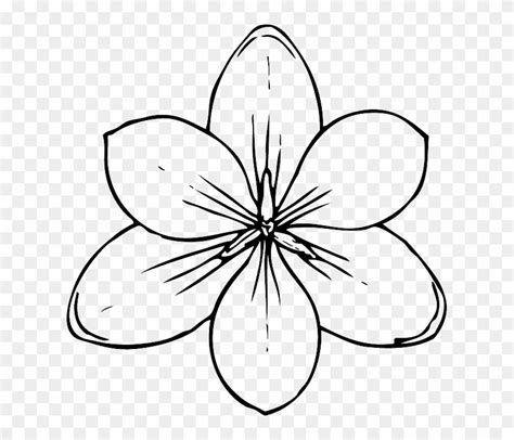 flower drawing outline png