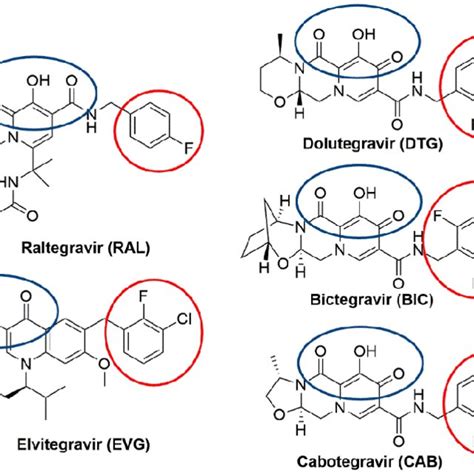 (PDF) Integrase Strand Transfer Inhibitors Are Effective Anti-HIV Drugs