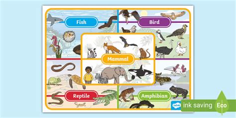 Animals Display Poster (teacher made) - Twinkl