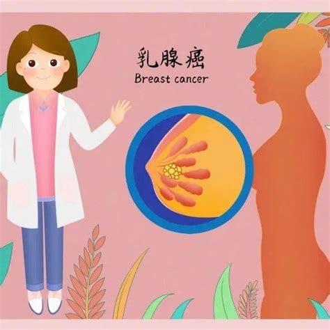 年轻乳腺癌患者往往“四高”，需要引起重视生活女性检查