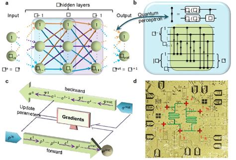 清华大学在超导量子系统中演示深度量子神经网络 量子科技中心量科网