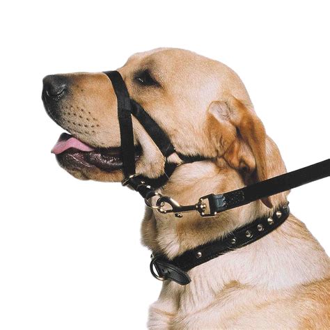Nylon Training Halter