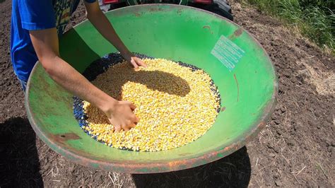 Use A Broadcast Spreader To Seed Your Field YouTube