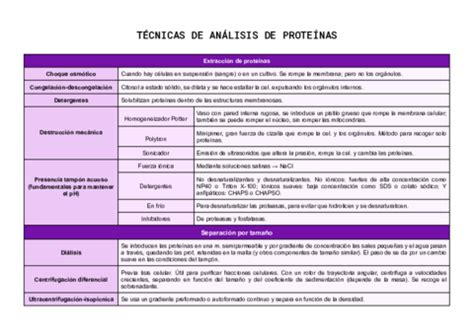 TECNICAS DE ANALISIS DE PROTEINAS Pdf