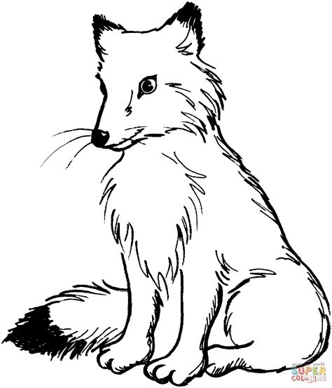 Realistic Fox Drawing at GetDrawings | Free download