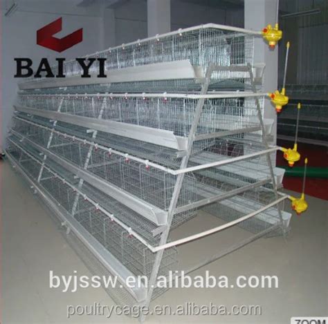 Indoor Poultry Chicken Cage System With Accessories - Buy Indoor ...