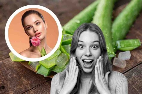 Aloe vera ecco perché è così importante per la tua pelle benefici