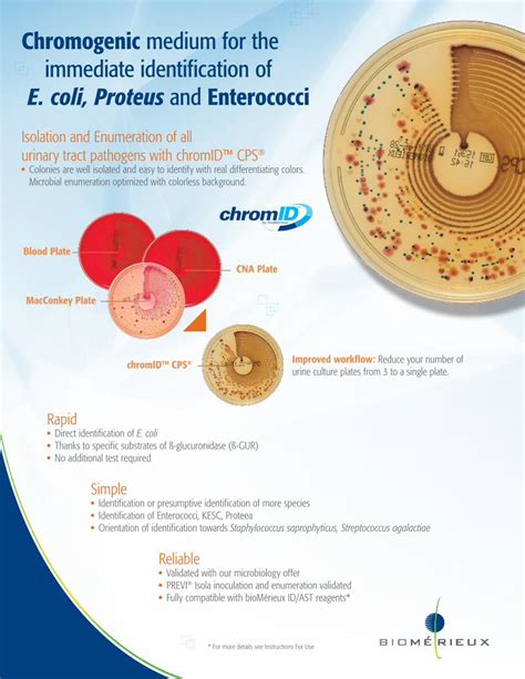 PDF E Coli Proteus And Enterococci PDF Fileimmediate