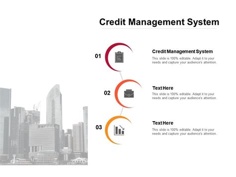 Credit Management System Ppt Powerpoint Presentation Visual Aids