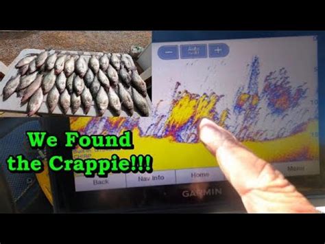 Easy Way To Catch Lots Of Crappie From The Creeks In November How To