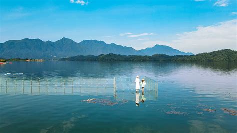 浓情盛夏，邂逅九江灵动风光 九江旅游攻略 游记 去哪儿攻略