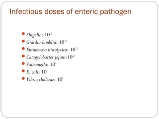 Enteric infections Mohammad Aboelmagd | PPT