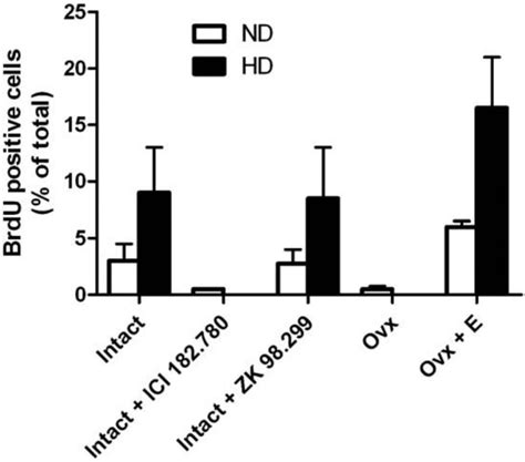 5 Bromo 2 Deoxyuridine Labeling Indices In Mammary Glands Of Pr A