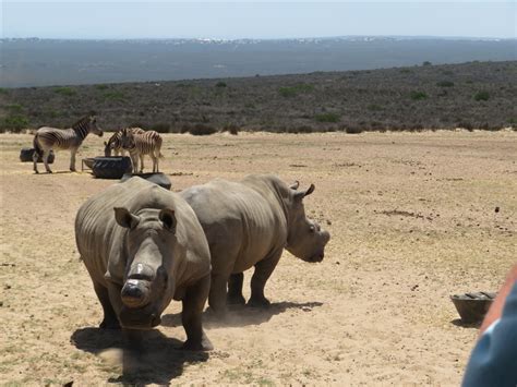 1camera1mom: Buffelsfontein Game Reserve - Part 1