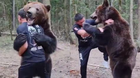 Mma Ce Combattant Suisse S Entra Ne Avec Un Ours