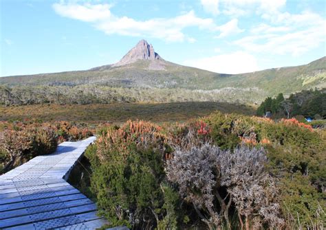 Overland Track Guided Walk | Tasmanian Hikes | Expert Guides