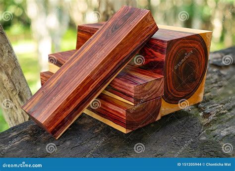 Wood Logs Of Burmese Rosewood Stock Photo Image Of Nature Exotic