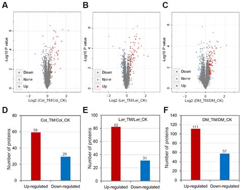 Ijms Free Full Text Quantitative Proteomic Analysis Of Er Stress