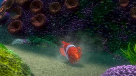 Finding Nemo Finding Nemo Image 3562866 Fanpop