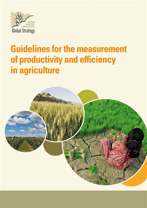 Pdf Guidelines For The Measurement Of Productivity And Efficiency In