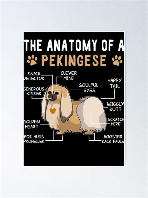 The Anatomy Of A Pekingese Dog Poster For Sale By Abidilana Redbubble