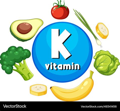 Educational Group Of Foods Containing Vitamin K Vector Image