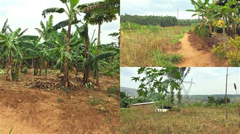 Affordable Land For Sale In Kigali Rwanda Usd Youtube