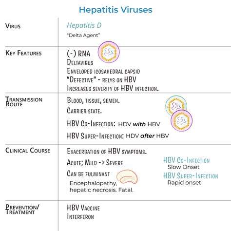 Immunology Microbiology Glossary Viral Hepatitis All Types Ditki