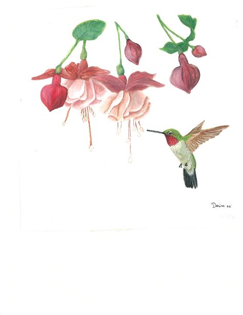 Hummingbird Watercolor Painting Print Nature Painter - Etsy