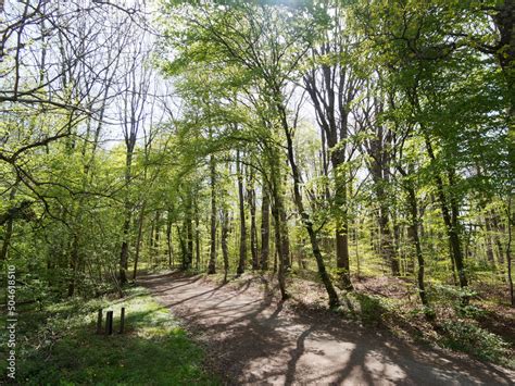 Sentier Et Chemin De Randonn E De La R Serve Naturelle Autour Et Le