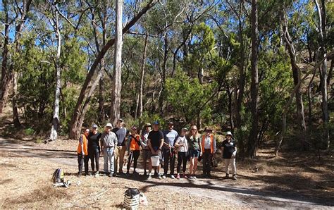 President S Report Friends Of Black Hill Morialta