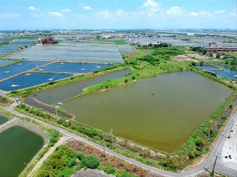 養殖研發、光電整合 七股推漁電共生 地方 自由時報電子報