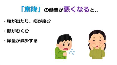 鍼灸学生さん集まれこれであなたも東洋医学が分かる第16回 肺の役割について りょうじのブログ Cmon