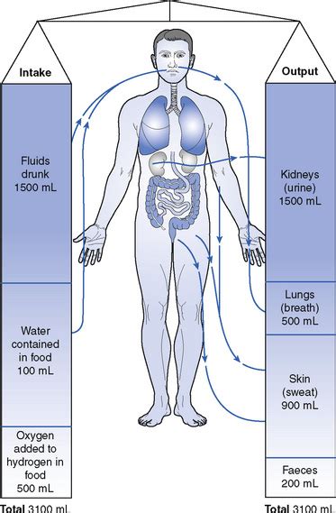 Fluid Balance Calculation For Osce Uk