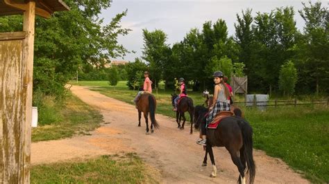 Passeggiate A Cavallo Verona A Partire Da Freedome