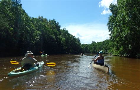 Kayaking on Big Escambia Creek on the Alabama/Florida Line | Northwest Florida Outdoor ...